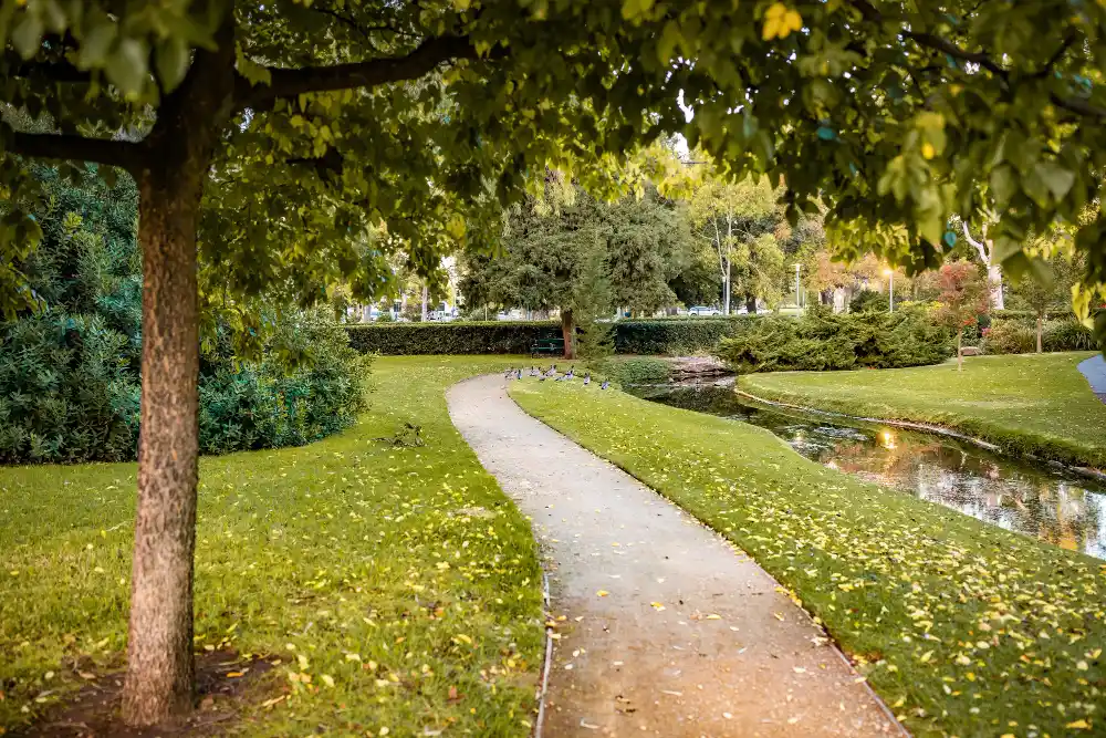 Markarbeten och schaktning i park